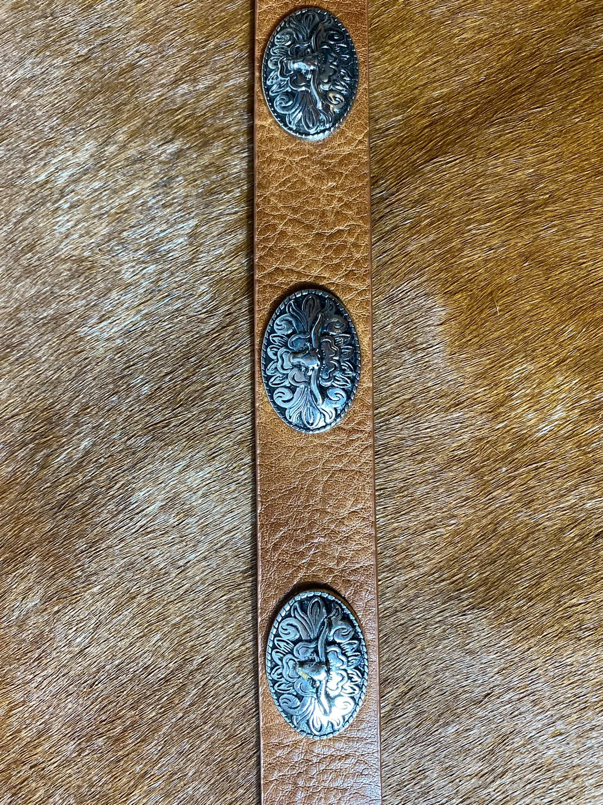 Cinto Com Fivelas Long Horn